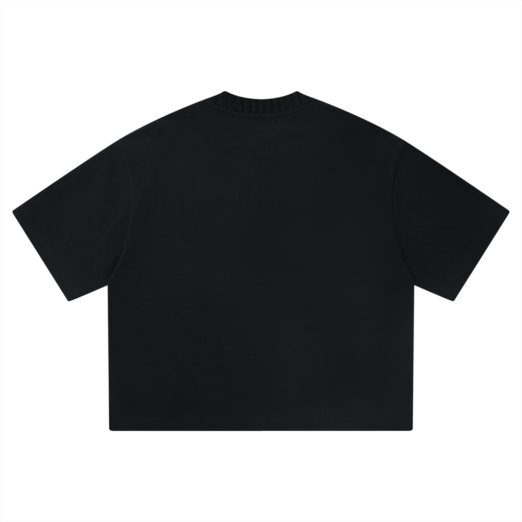 Noble Splendour Unisex Heavyweight Boxy T-Shirt