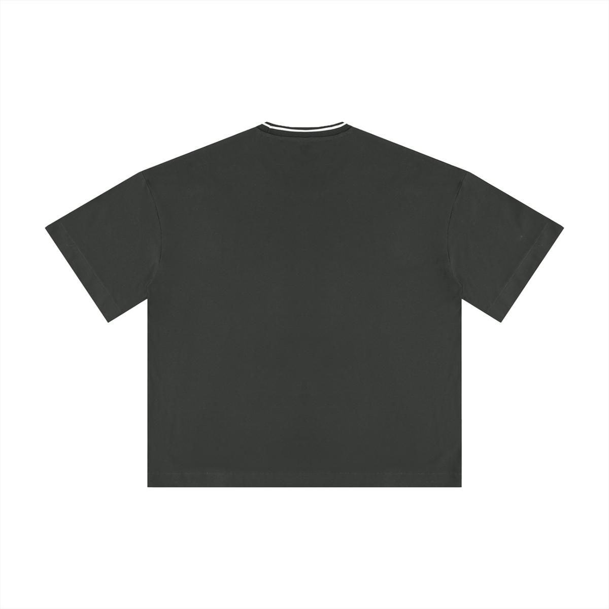 Noble Splendour Unisex Boxy Ribbed T-Shirt